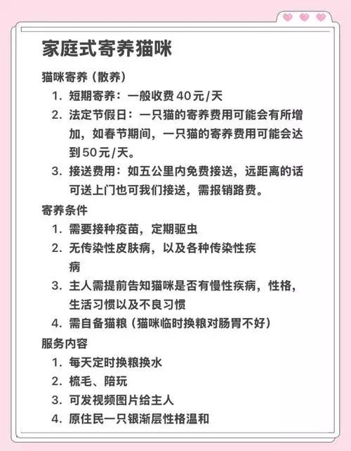 找靠谱寄养，提前做好这几件事少踩坑