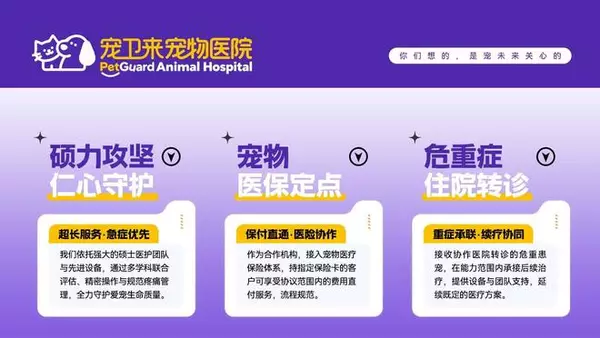 石家庄宠卫来宠物医院全场景诊疗服务体系深度解析
