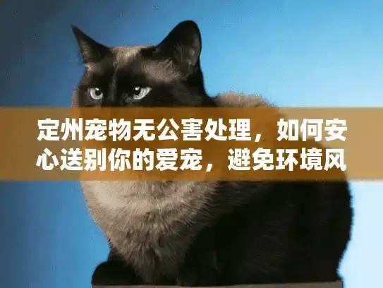 定州宠物无公害处理，如何安心送别你的爱宠，避免环境风险？