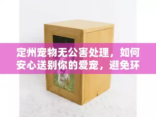 定州宠物无公害处理,如何安心送别你的爱宠,避免环境风险?
