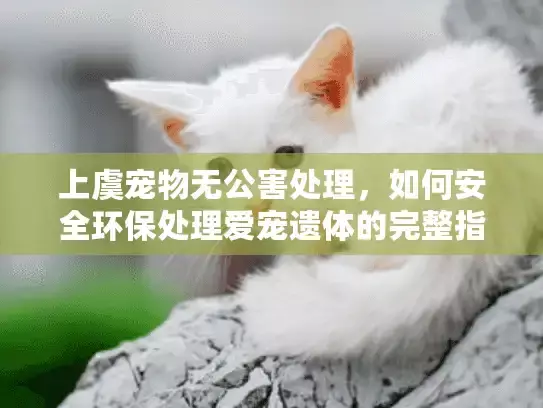 上虞宠物无公害处理，如何安全环保处理爱宠遗体的完整指南？