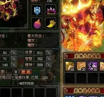 qq自由幻想宠物资质有什么关系