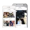 Pet Boarding PetBacker
