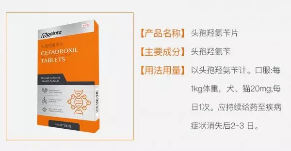 犬蠕形螨皮肤病的诊断与治疗方法