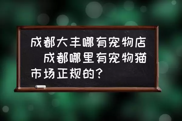 成都大丰哪有宠物店(成都哪里有宠物猫市场正规的？)