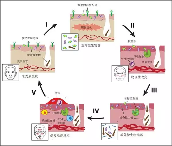 图2片1.png