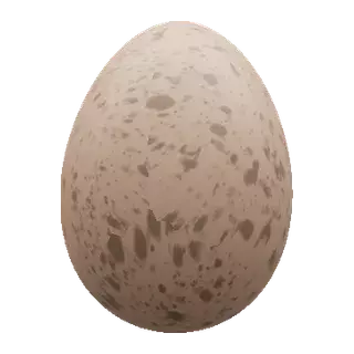 鸡蛋
