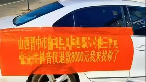 宠物狗遭仅退款商家驱车寻狗 网络平台规则适配难题凸显