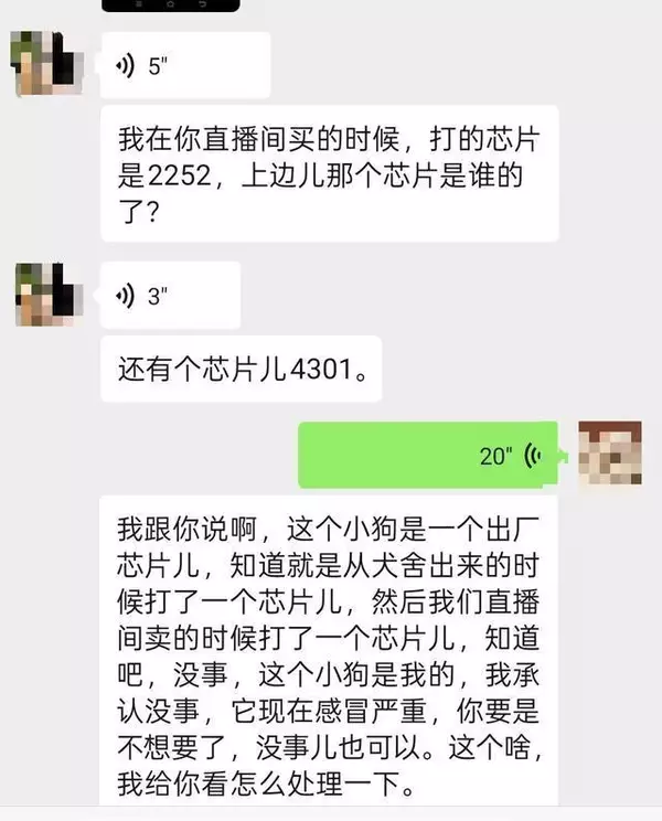 宠物狗遭仅退款商家驱车寻狗 网络平台规则适配难题凸显