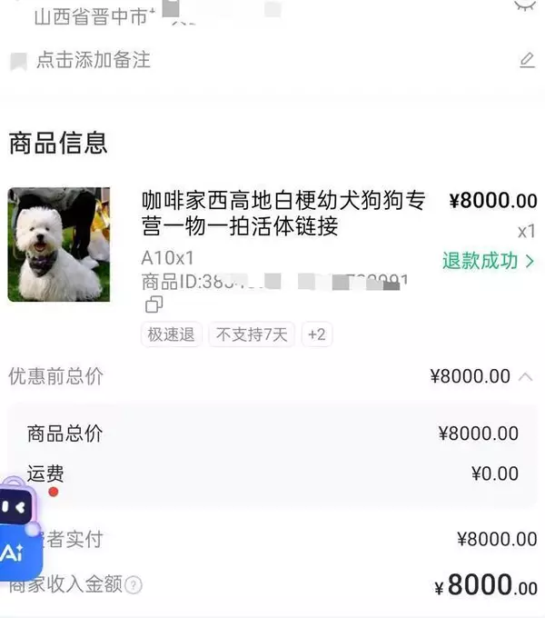 宠物狗遭仅退款商家驱车寻狗 网络平台规则适配难题凸显