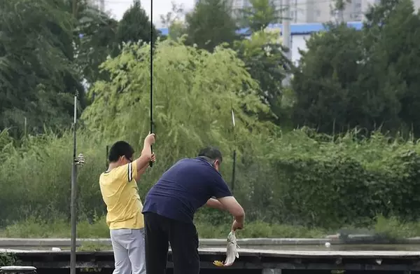 鲫中之霸!湖南钓友钓获巨型鲫鱼王,重达4斤长约半米